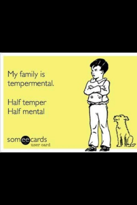 Funny Crazy Family Is Temperamental Picture
