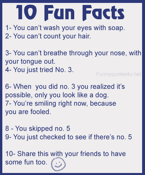 Funny Hilarious Ten Fun Facts Saying Picture