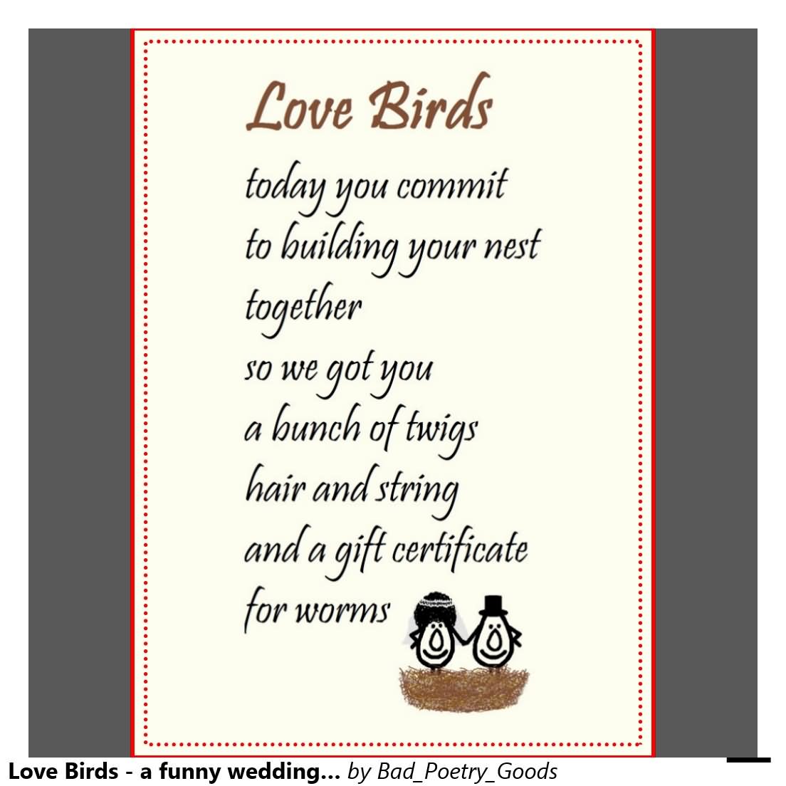 Funny Love Birds Poem Picture