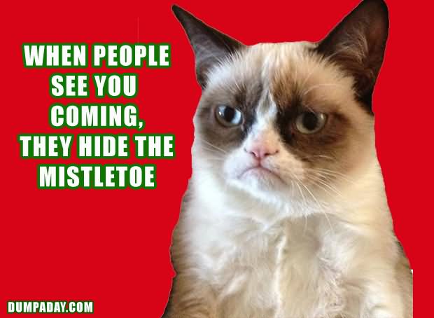 Funny When People See You Coming They Hide The Mistletoe Cat Picture