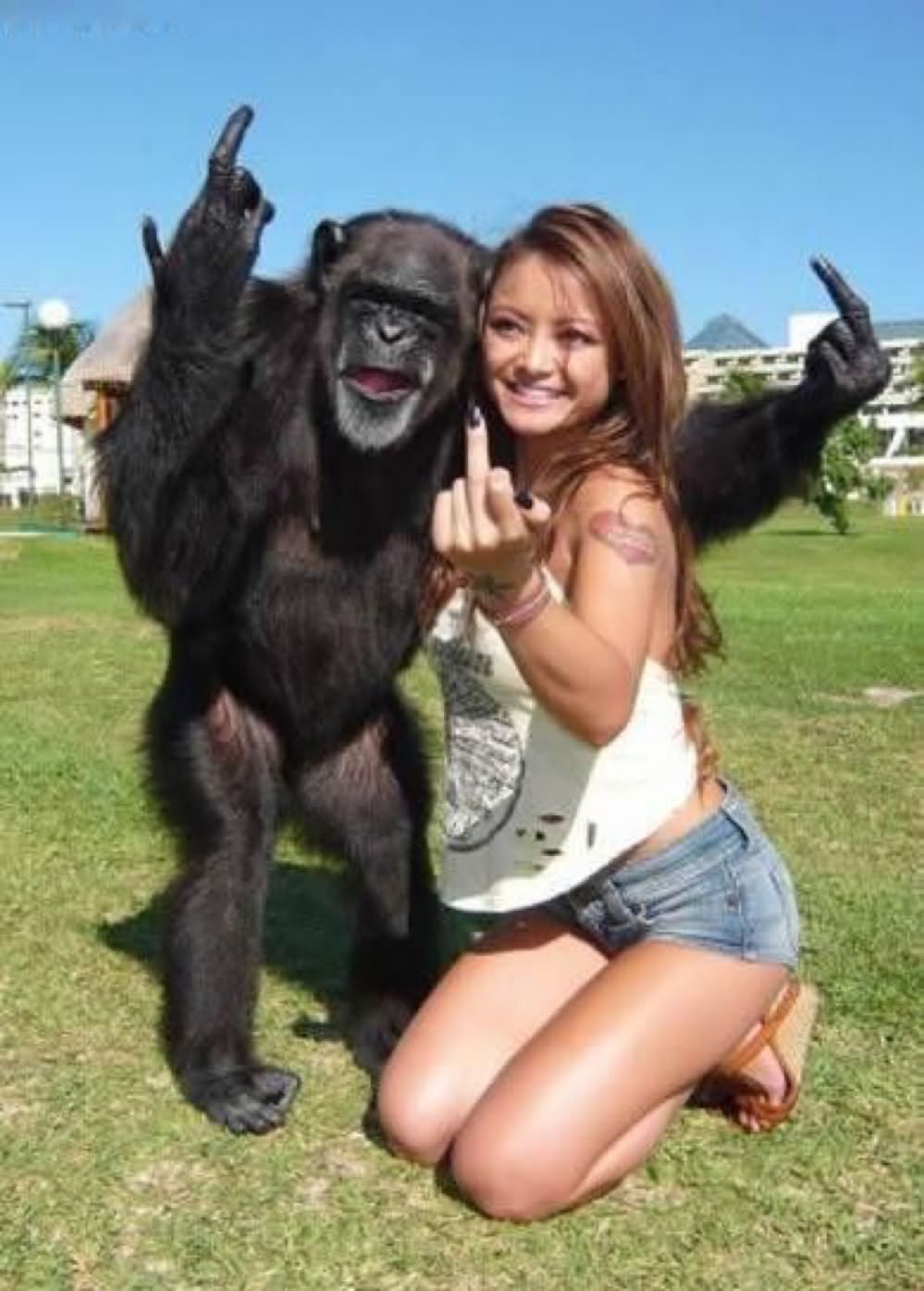 Girl With Chimpanzee Showing Flip Off Funny Picture For Whatsapp