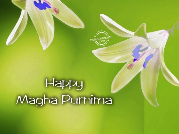Happy Magha Purnima Wishes