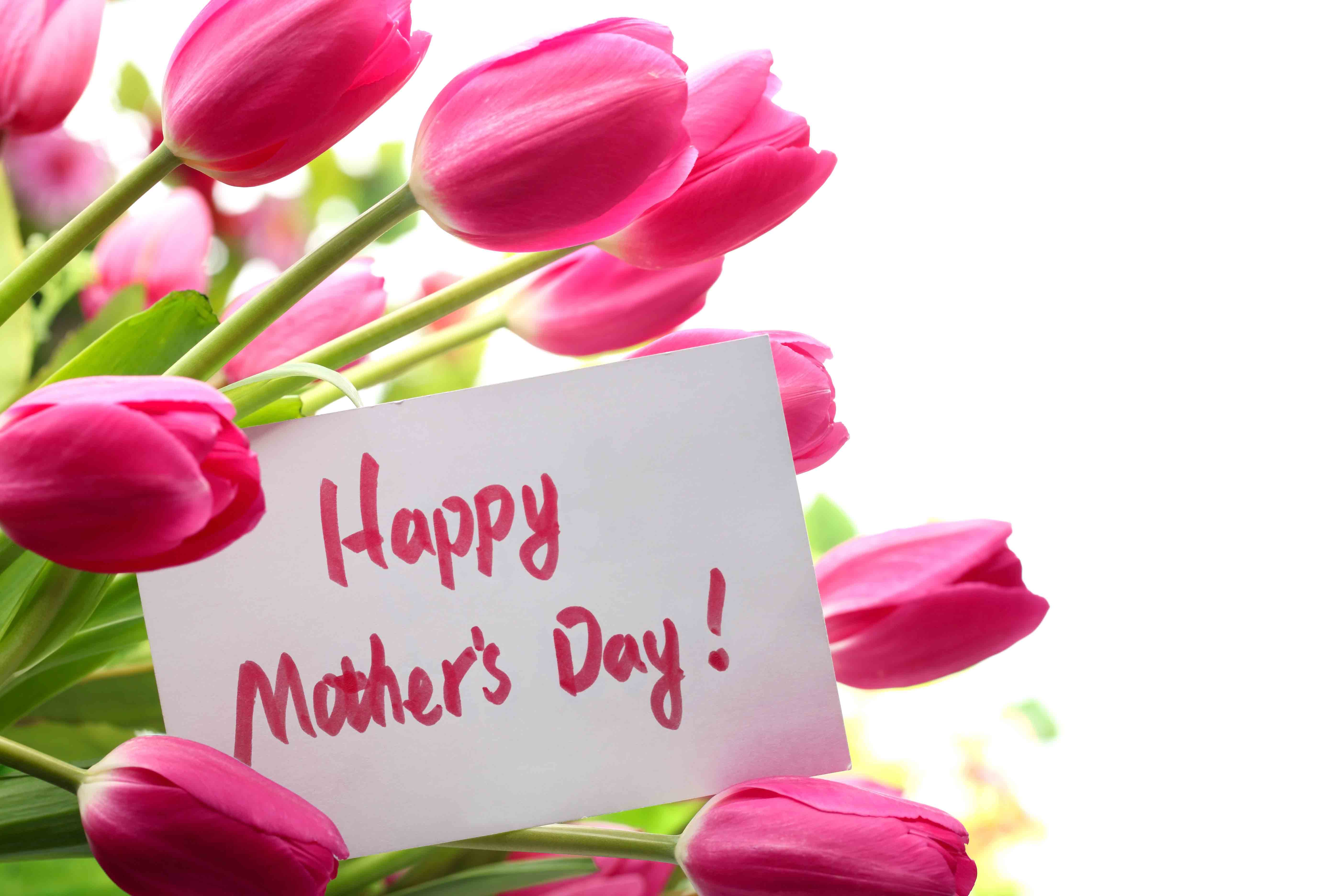 Happy Mother’s Day Card With Pink Tulip Flowers