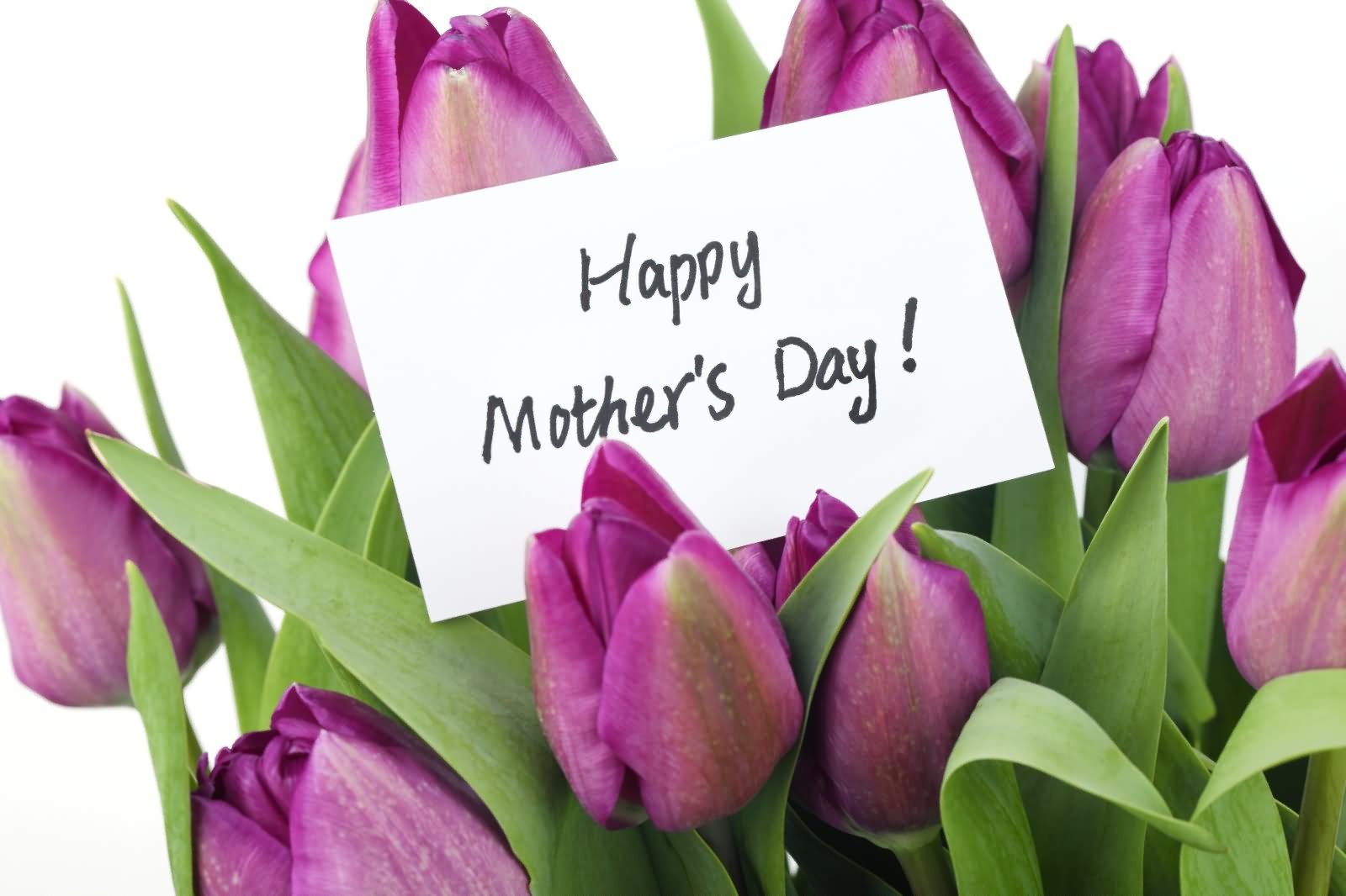 Happy Mother’s Day Tulip Flowers Picture