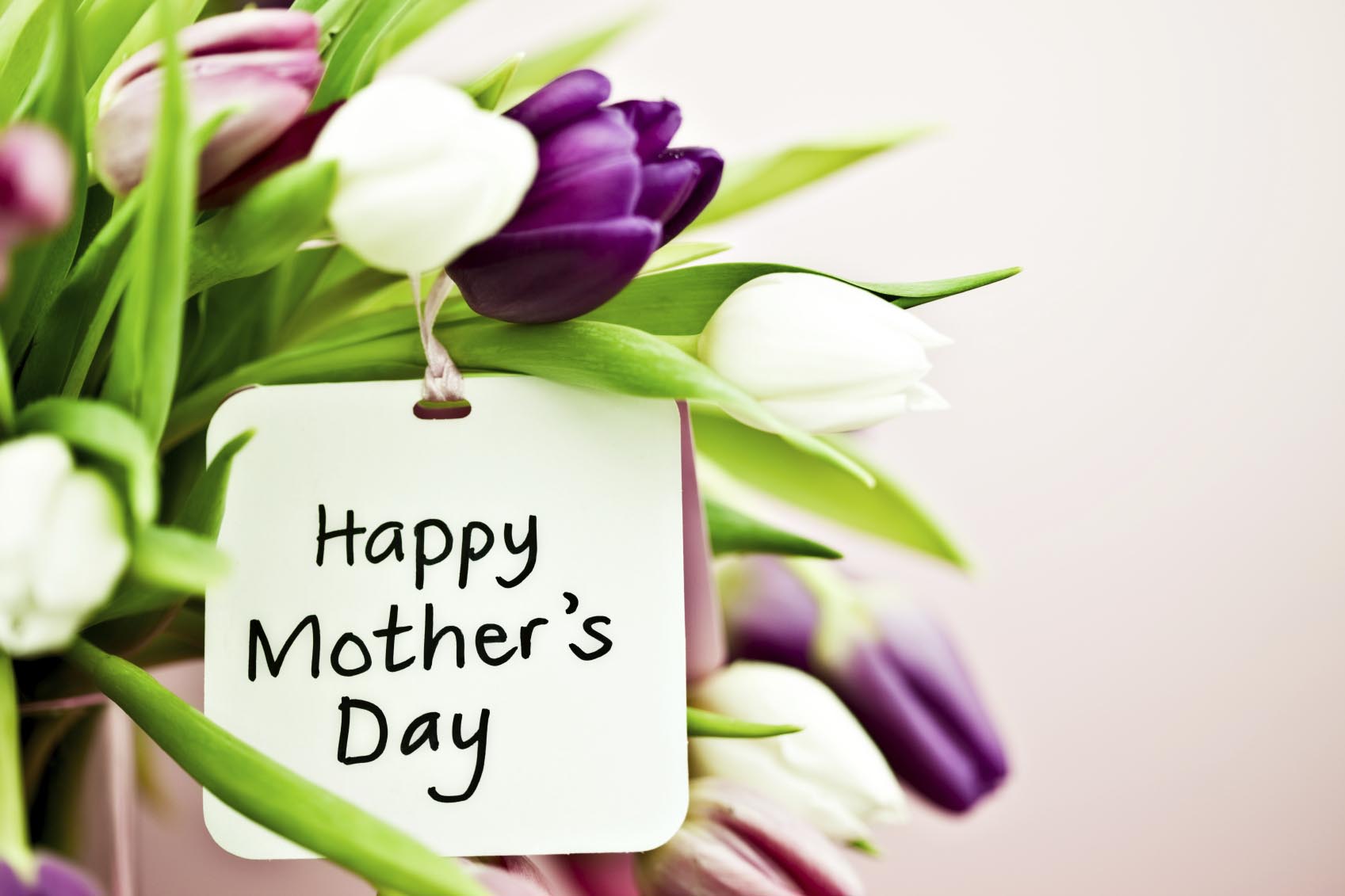 Happy Mother’s Day With Tulip Flowers