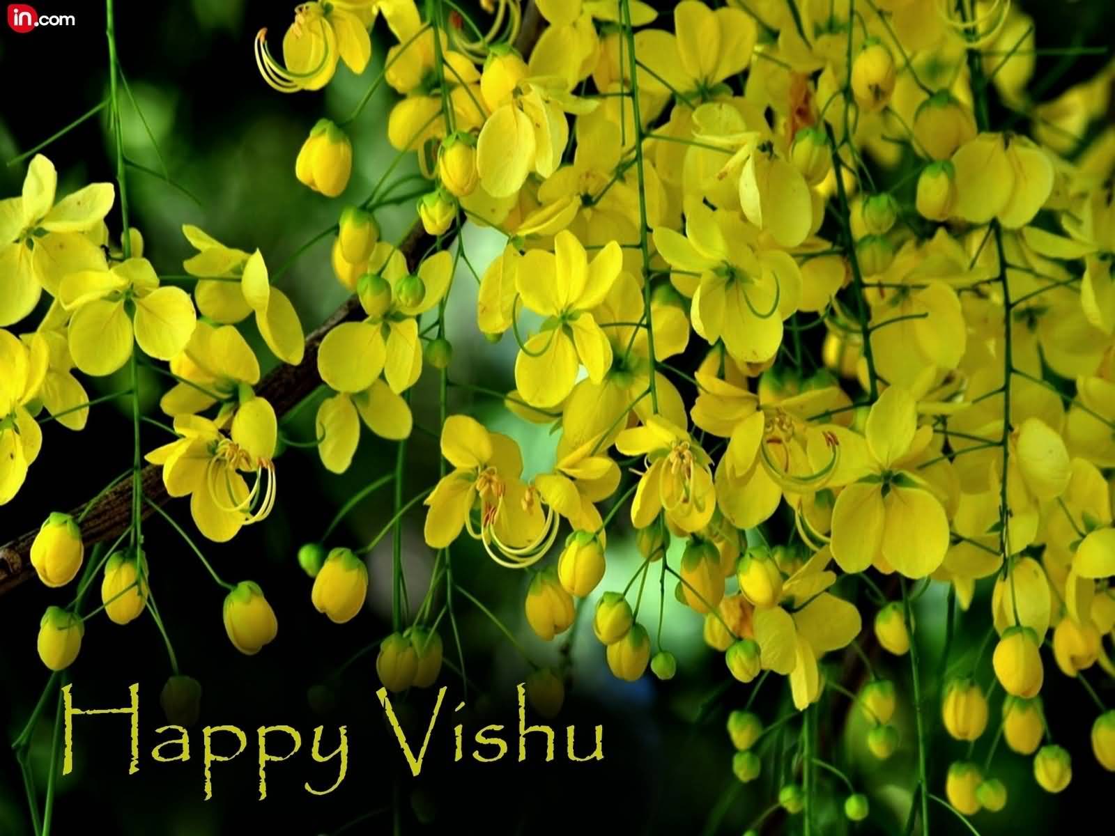 Happy Vishu 2016 Greetings Picture