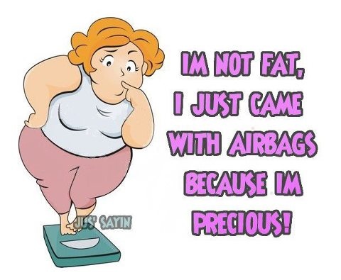 I Am Not Fat I Just Came With Airbags Because I Am Precious Funny Hilarious Saying Image