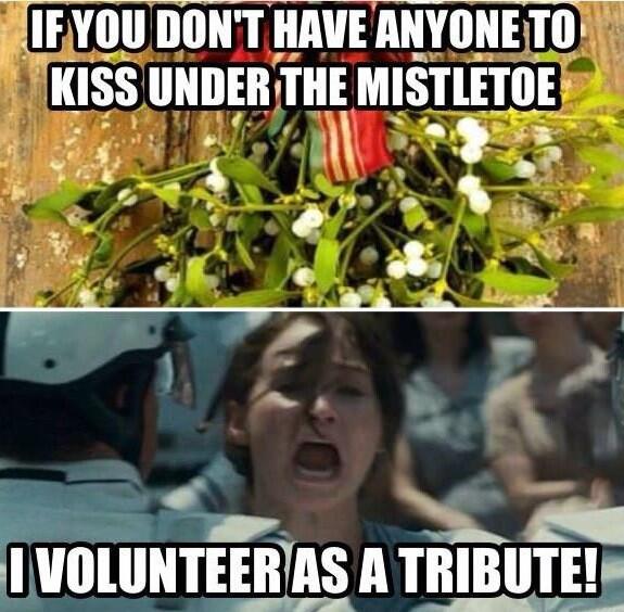 If You Don't Have Anyone To Kiss Under The Mistletoe Funny Image