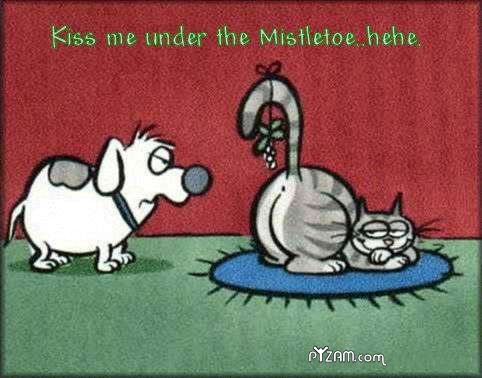 Kiss Me Under The Mistletoe Hehe Funny Picture