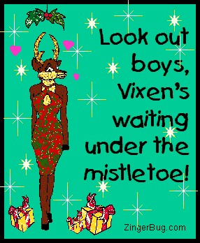 Look Out Boys Vixen's Waiting Under The Mistletoe Funny Image