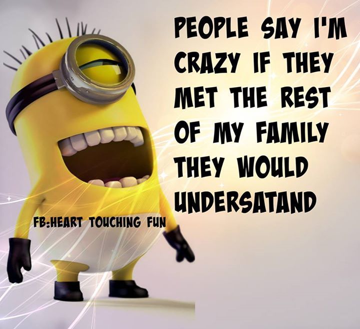 Minions Funny Crazy Family Picture