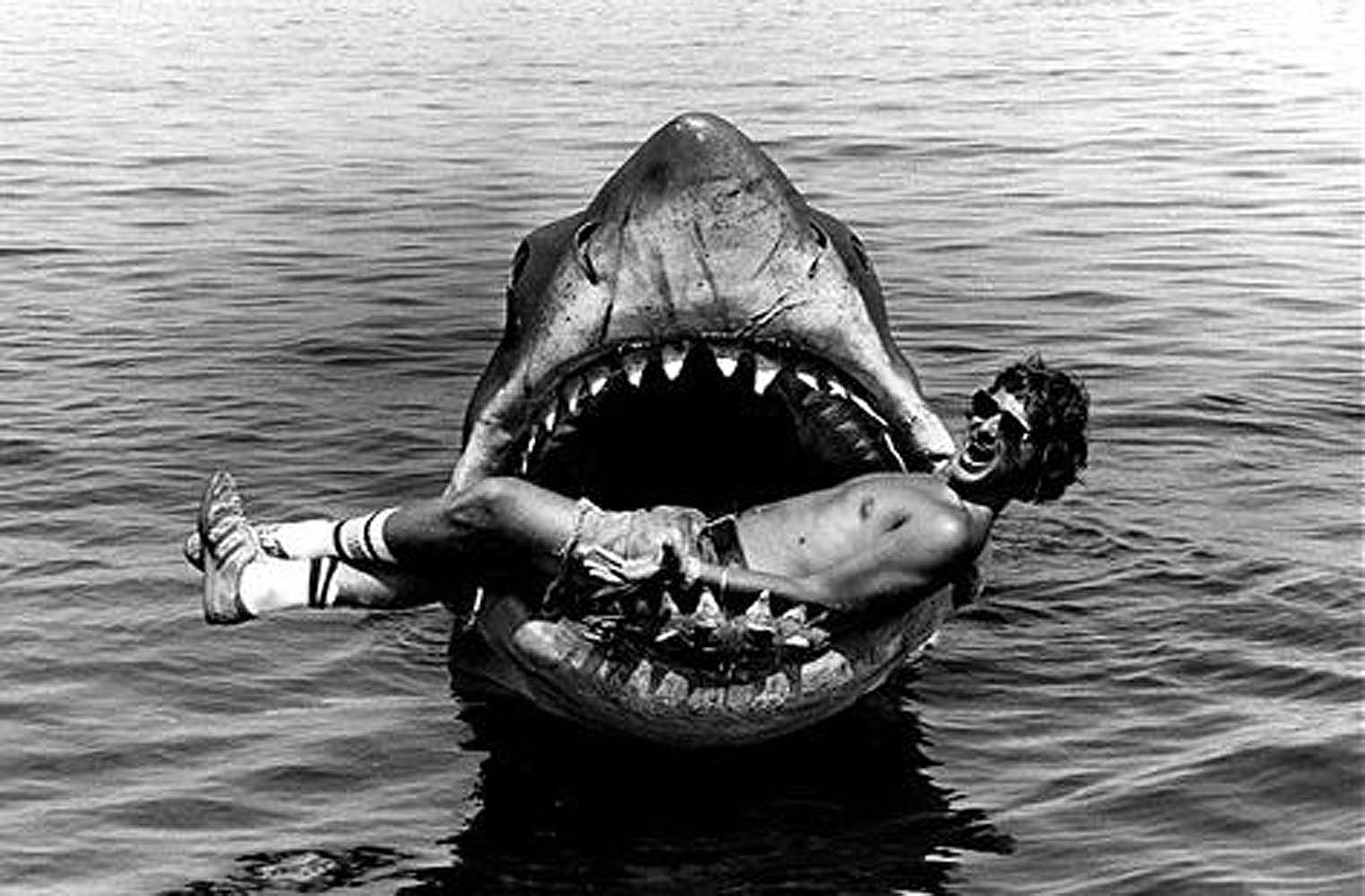 Shark Eating Man Funny Black And White Illusion Picture For Facebook