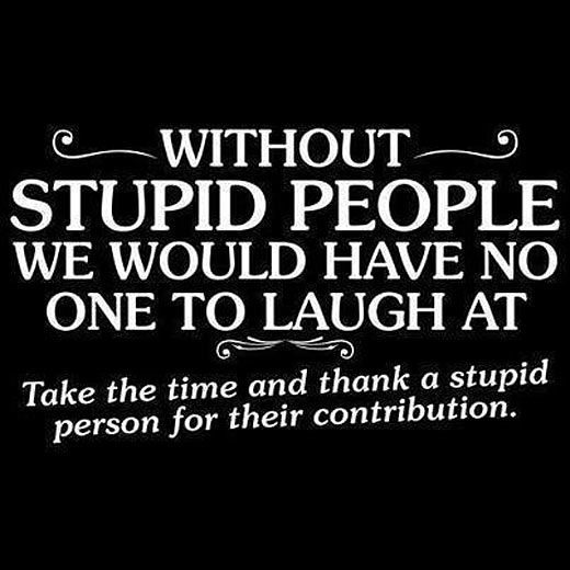 Stupid People We Would Have No One To Laugh At Funny Hilarious Saying Picture
