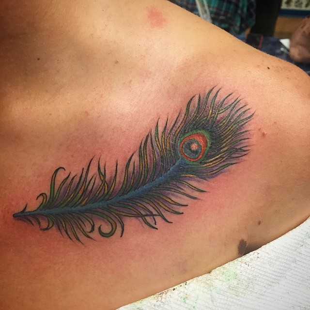 Traditional Peacock Feather Tattoo On Collarbone