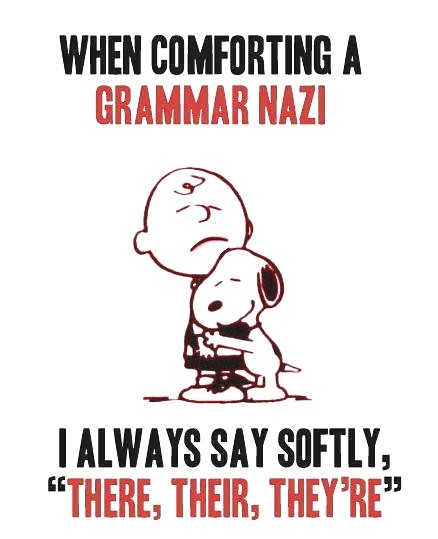When Comforting A Grammar Nazi Funny Hilarious Saying Picture