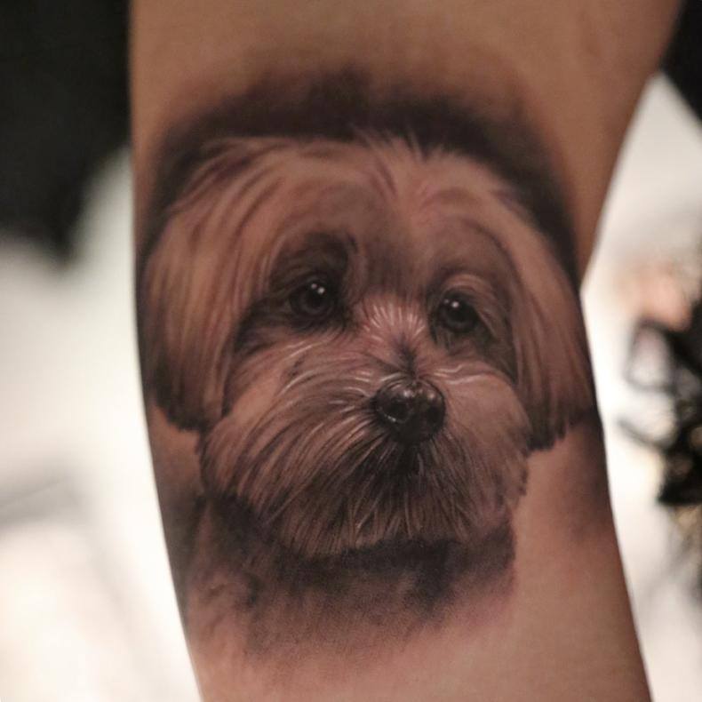 3D Cockapoo Dog Face Tattoo Design