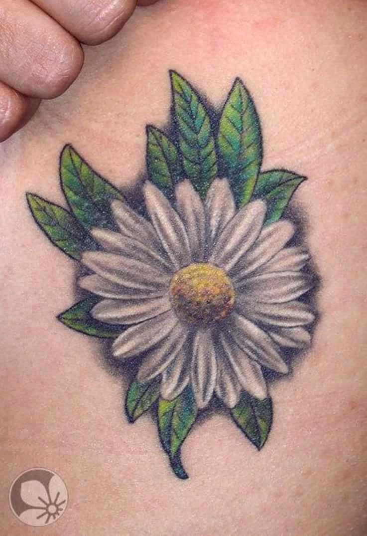 Amazing Daisy Flower Tattoo Design