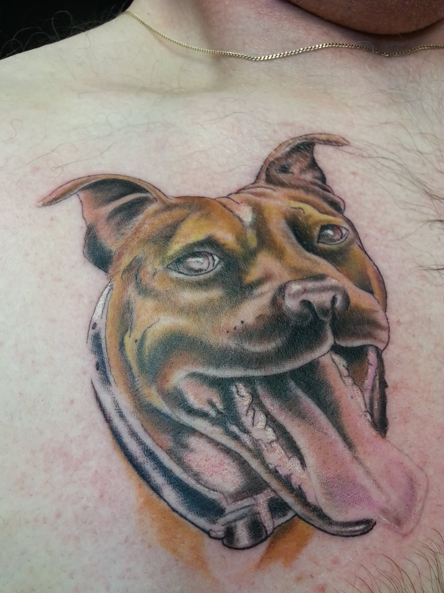 10+ Awesome Dog Tattoos On Chest