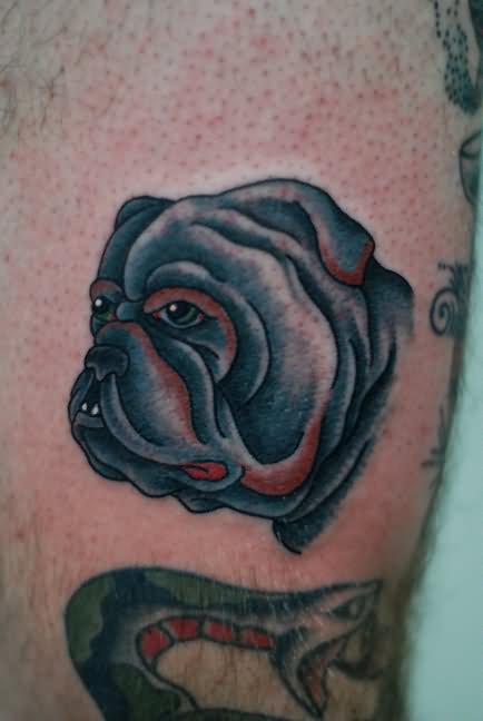 Amazing Traditional Bulldog Face Tattoo Design