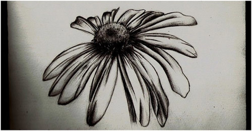 Attractive Black Outline Daisy Flower Tattoo Stencil