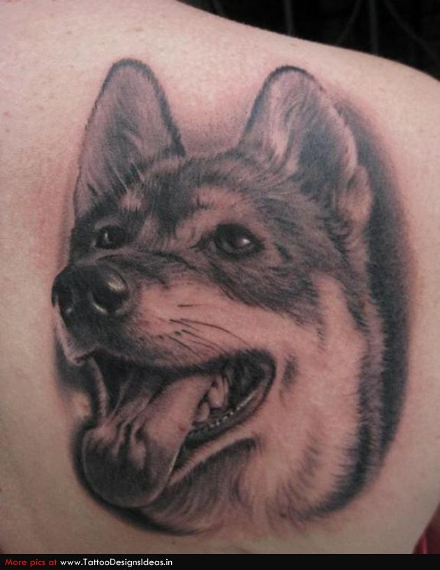 Attractive Dog Face Tattoo On Right Back Shoulder