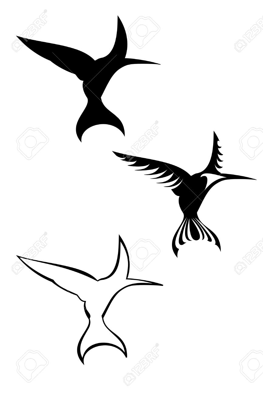 Awesome Black Three Hummingbird Tattoo Design