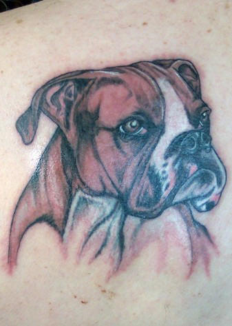 Awesome Boxer Dog Tattoo Design
