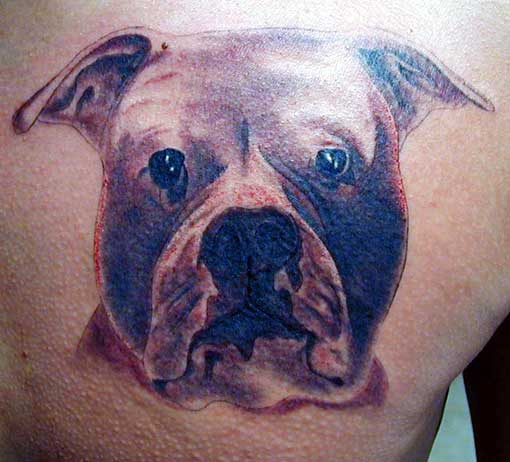 Awesome Pitbull Dog Face Tattoo Design For Back Shoulder