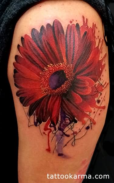 Awesome Watercolor Daisy Tattoo Design For Shoulder