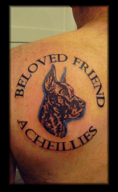 Beloved Friend Acheillies - Great Dane Dog Tattoo On Man Left Back Shoulder