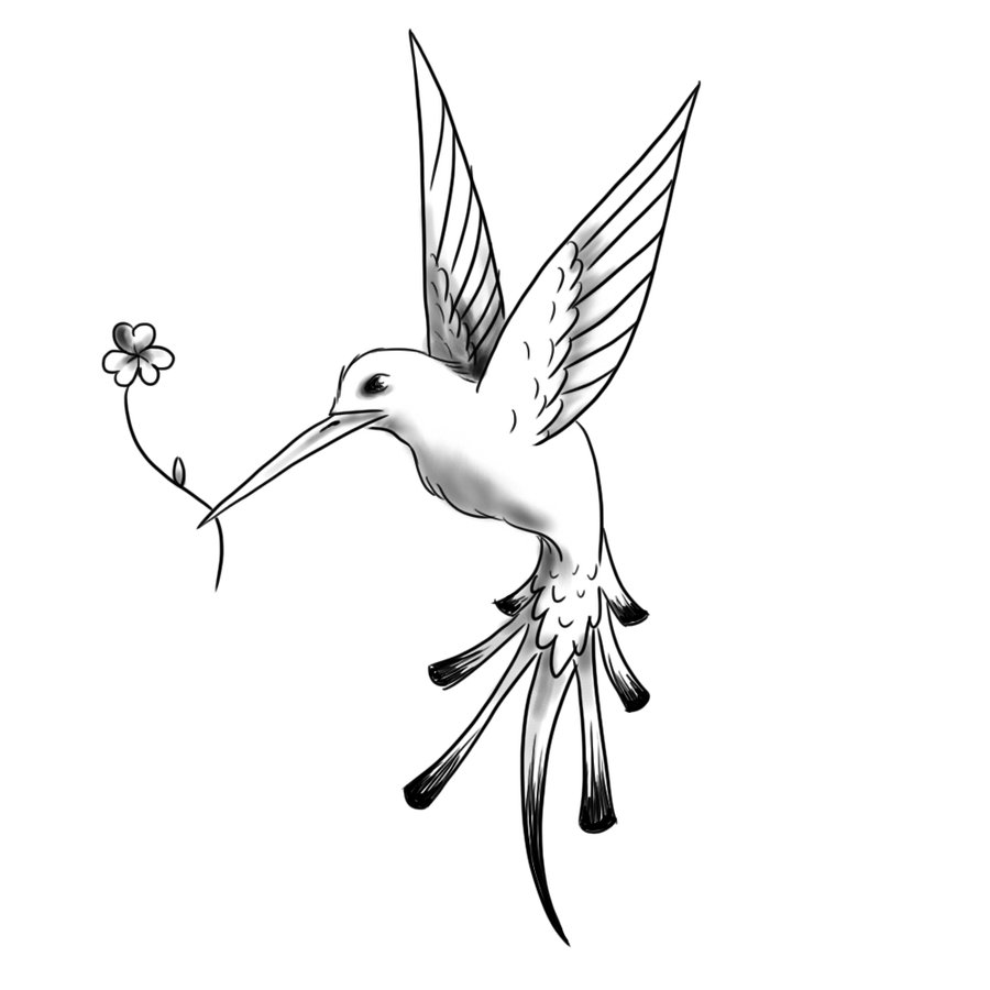 Black And Grey Flying Hummingbird Tattoo Design