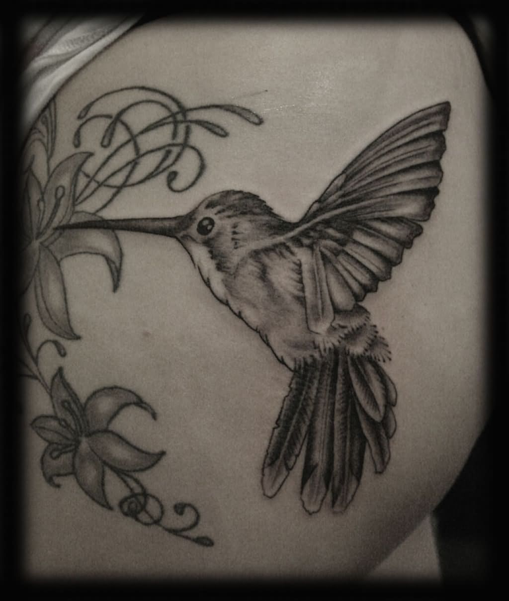 Black And Grey Hummingbird Tattoo Design