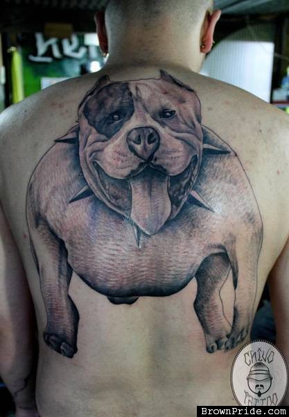 Black And Grey Pitbull Dog Tattoo On Full Back By Chivo Tattoos