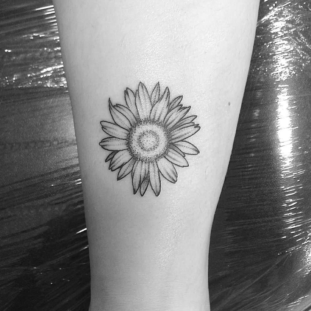 Black And White Daisy Flower Tattoo Design For Forearm