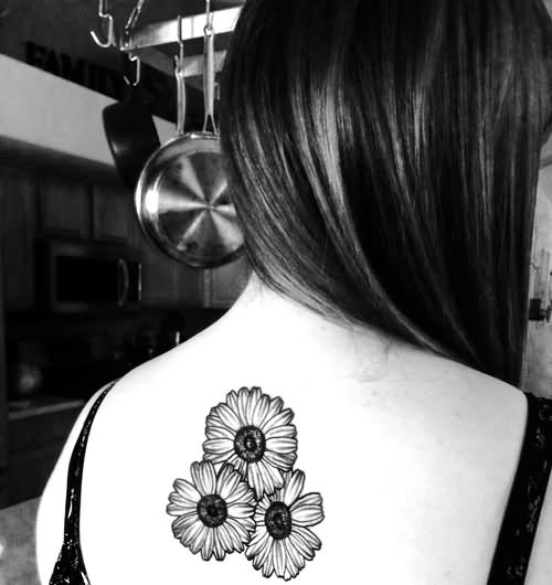 Black And White Three Daisy Flowers Tattoo On Girl Upper Back
