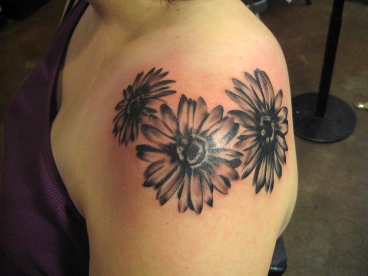 Black And White Three Daisy Flowers Tattoo On Shoulder