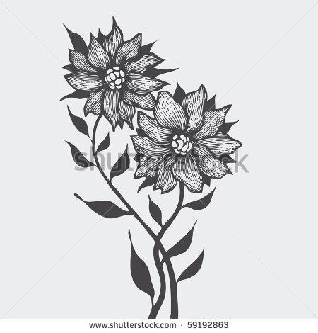 Black And White Two Daisy Flower Tattoo Design