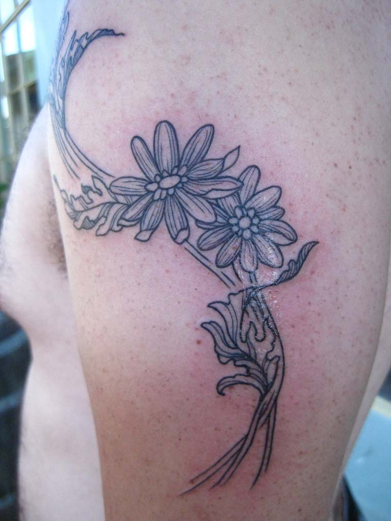 Black Daisy Flower Tattoo On Man Left Shoulder
