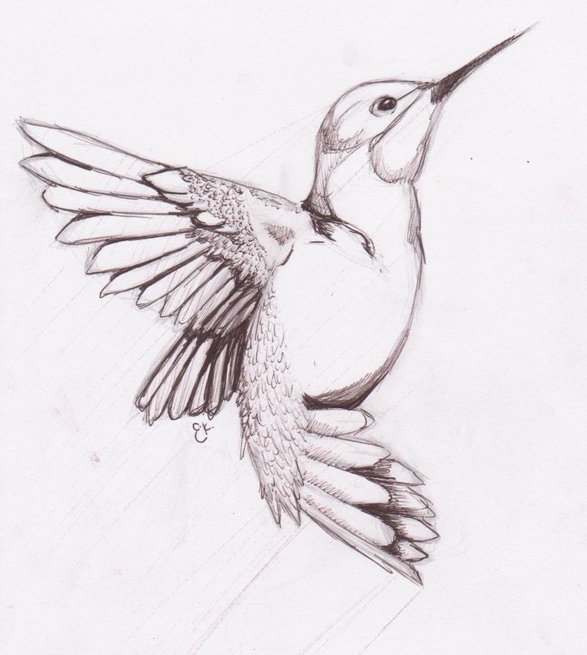 Black Hummingbird Tattoo Design