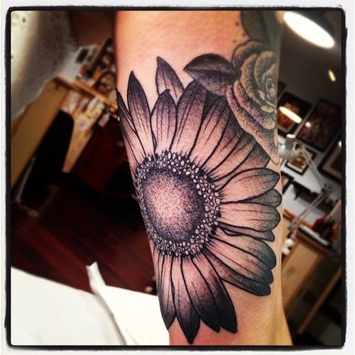 Black Ink Daisy Flower Tattoo Design For Arm