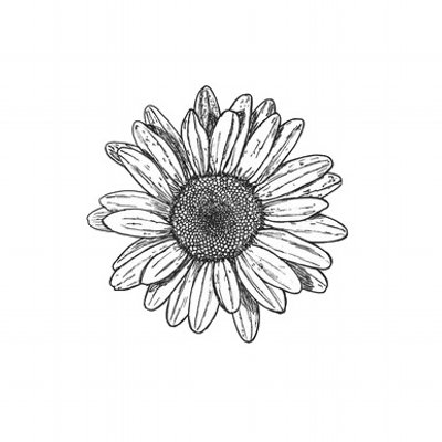 Black Ink Daisy Flower Tattoo Design