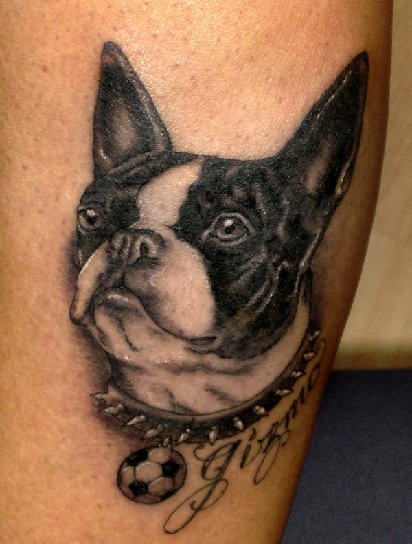 Black Ink French Bulldog Tattoo Design
