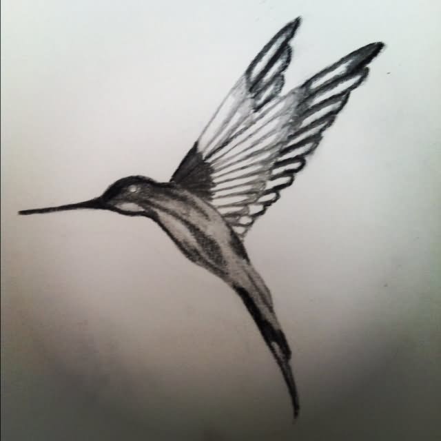 Black Ink Hummingbird Tattoo Design