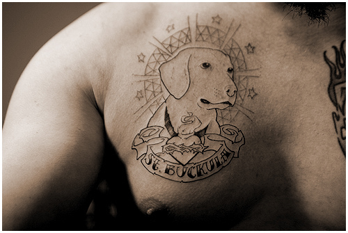 Black Outline Dog Face With Banner Tattoo On Man Right Chest
