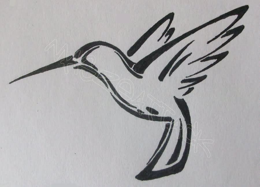 Black Outline Hummingbird Tattoo Stencil