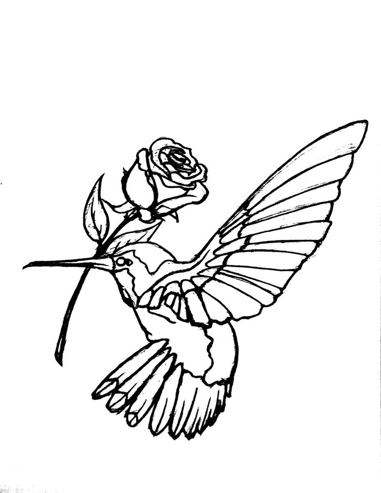 Black Outline Hummingbird With Rose Tattoo Stencil