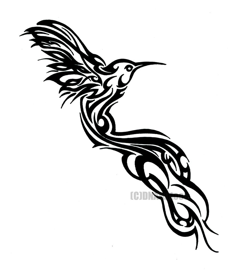 Black Tribal Hummingbird Tattoo Stencil By Dilly Weeds