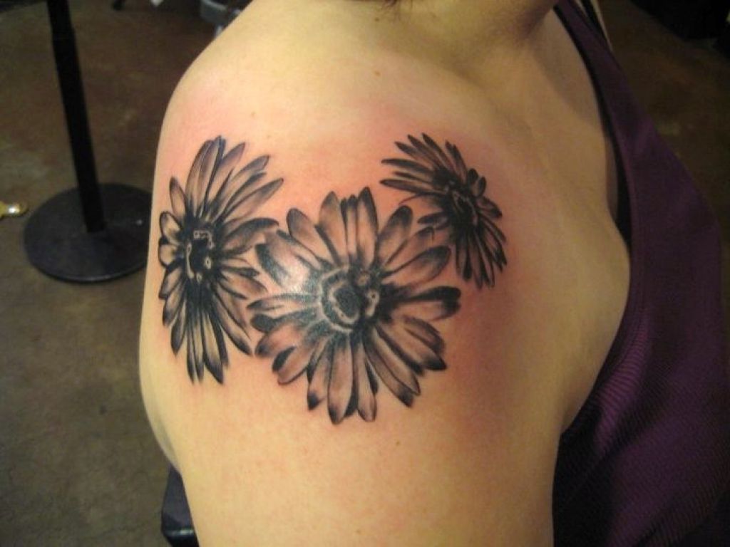 Classic Black Ink Daisy Flowers Tattoo On Shoulder