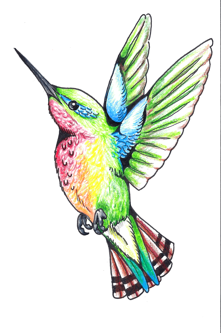 Classic Colorful Flying Hummingbird Tattoo Design