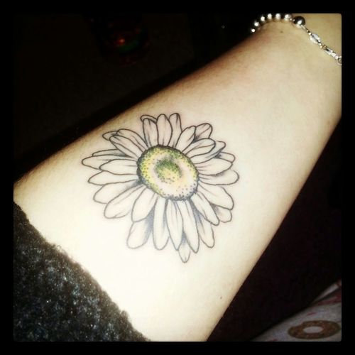 Classic Daisy Flower Tattoo On Right Forearm